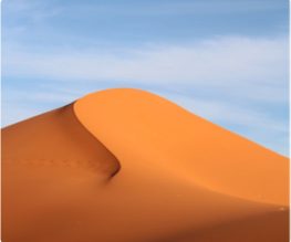 {{brizy_dc_image_alt imageSrc=