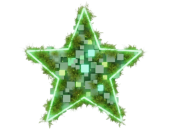 North Star Preferred Future