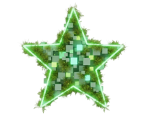 North Star Preferred Future
